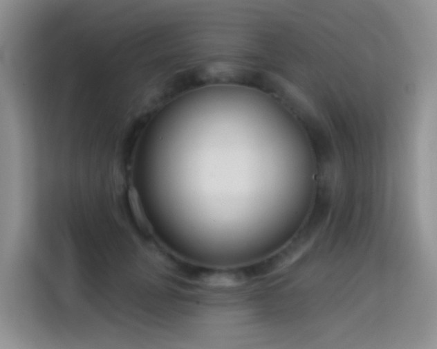 X0000114070751200910051338