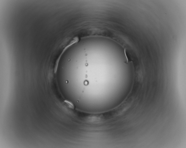 X0000114070756200910051338