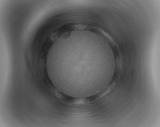 X0000114070761200910051338