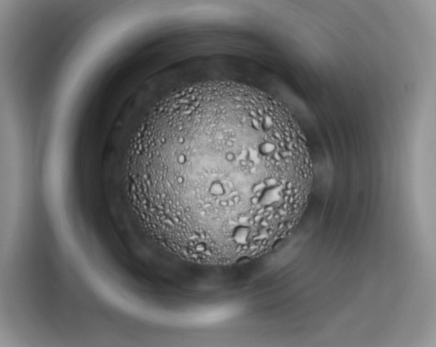 X0000114070765200910051338