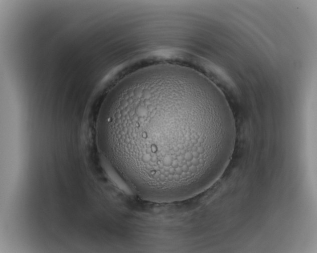 X0000114070776200910051337