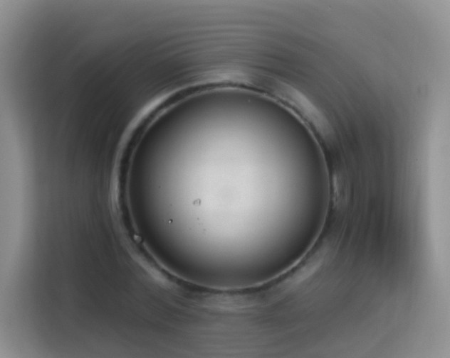 X0000114070780200910051337