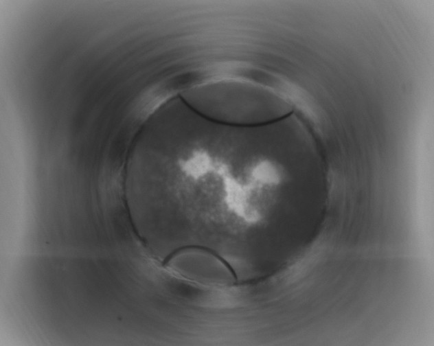 X0000114070785200910051337