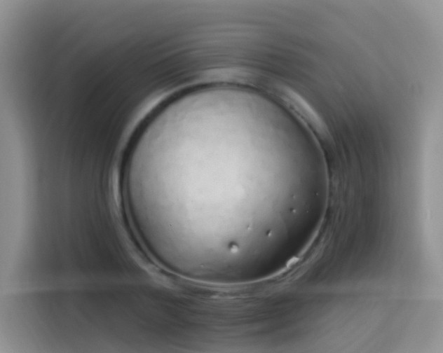 X0000114070788200910051337