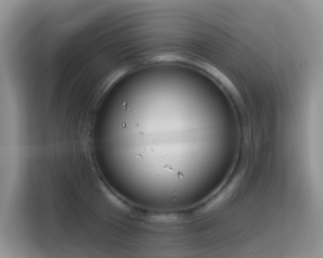 X0000114070801200910051337