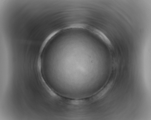 X0000114070804200910051337