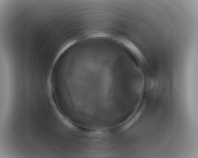 X0000114070806200910051337