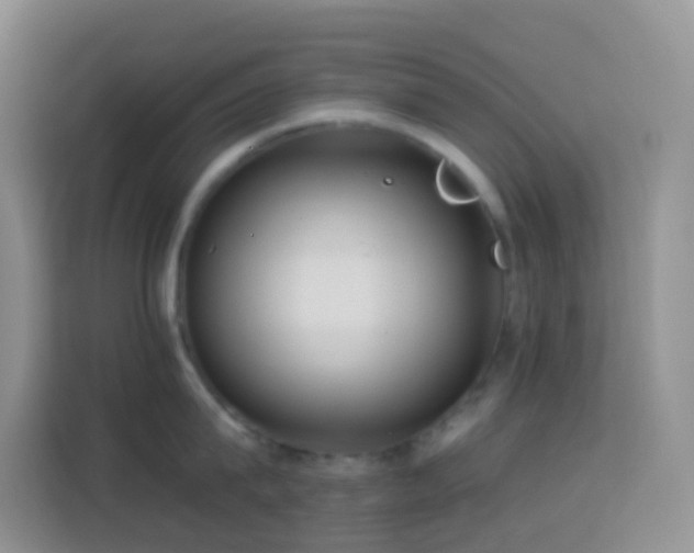 X0000114070815200910051337