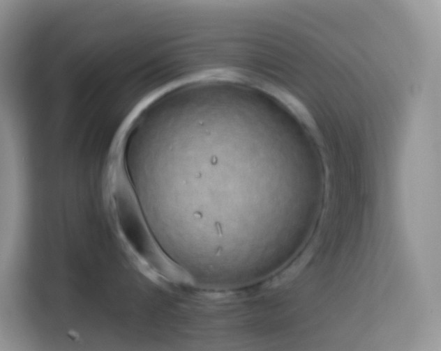 X0000114070816200910051337