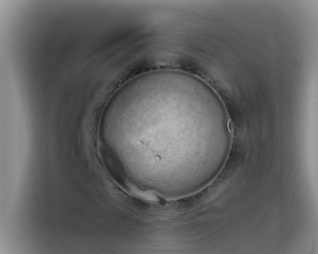 X0000114070817200910051336