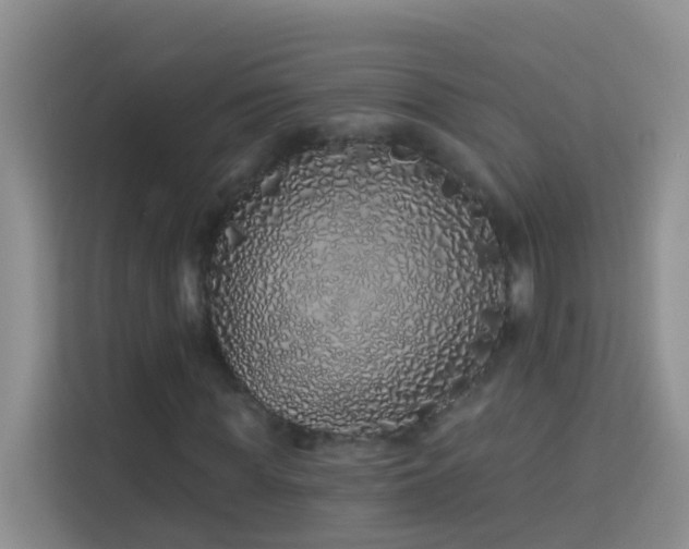 X0000114070819200910051336