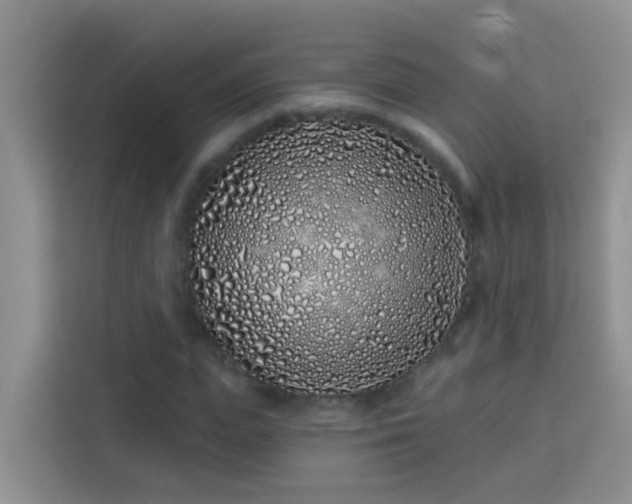 X0000114070823200910051336