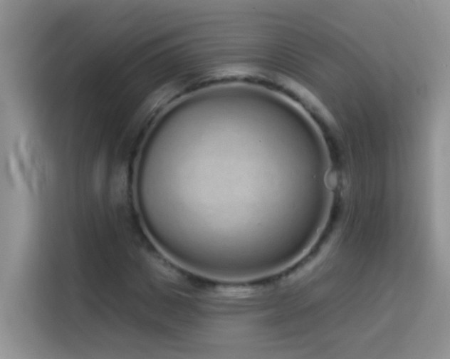 X0000114070825200910051336