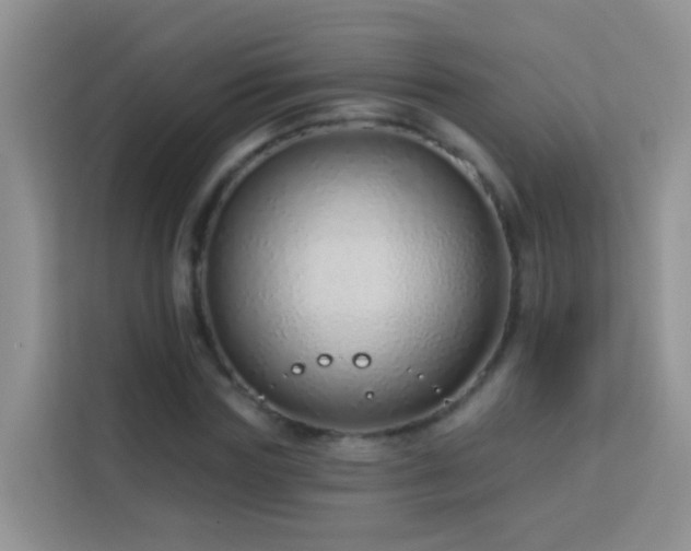 X0000114070827200910051336