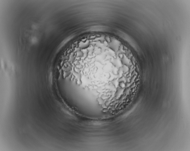 X0000114070829200910051336