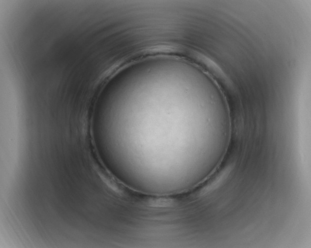 X0000114070833200910051336