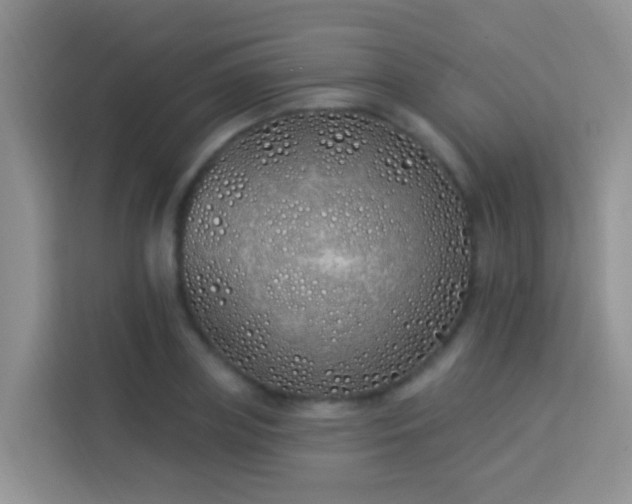 X0000114070835200910051336