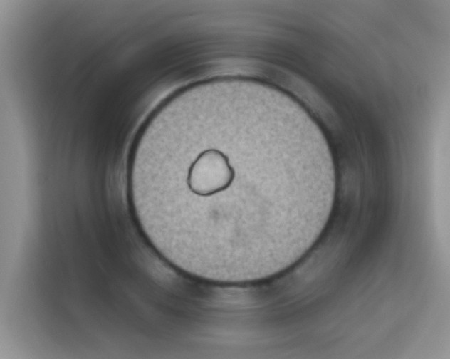 X0000114070836200910051336