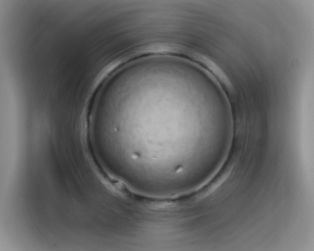 X0000114070837200910051336