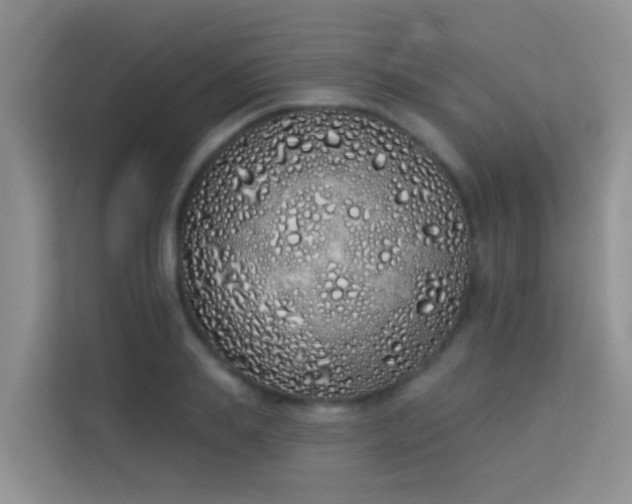 X0000114070839200910051336