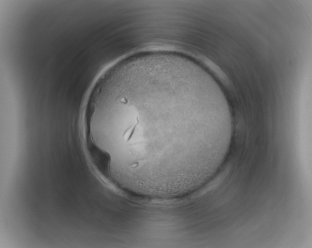 X0000114070840200910051336