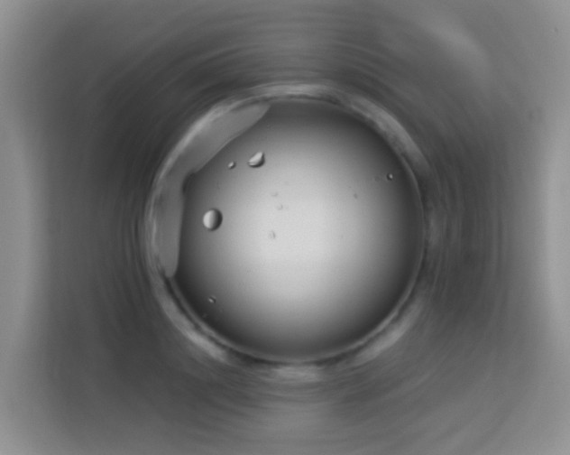 X0000114070844200910051336