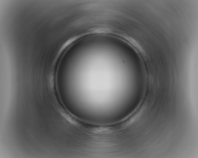 X0000114070846200910051336