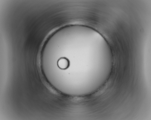 X0000114070848200910051336