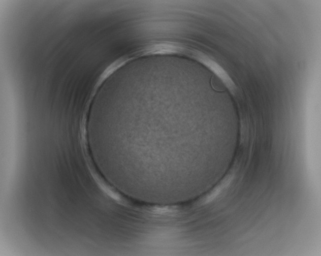 X0000114070850200910051336