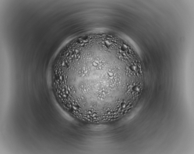 X0000114070851200910051336