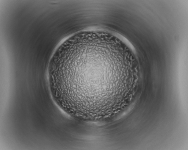 X0000114070855200910051337