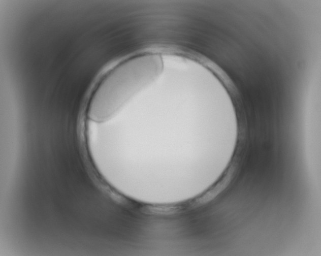 X0000114070856200910051337