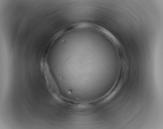 X0000114070857200910051337