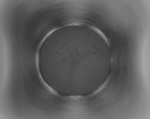 X0000114070859200910051337