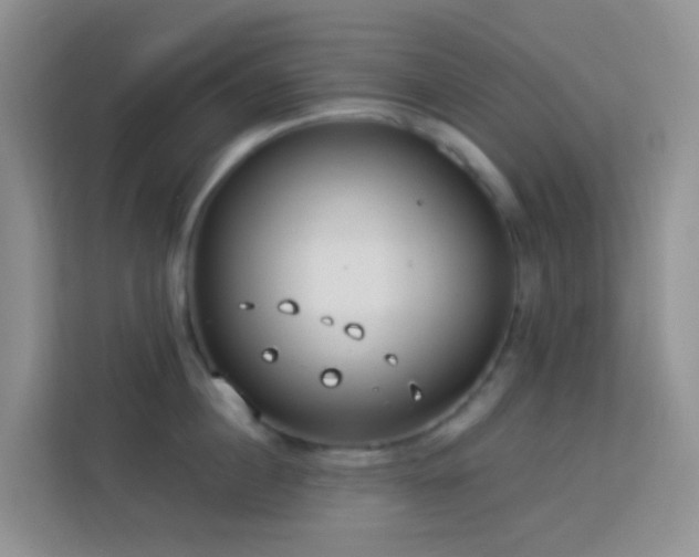 X0000114070860200910051337