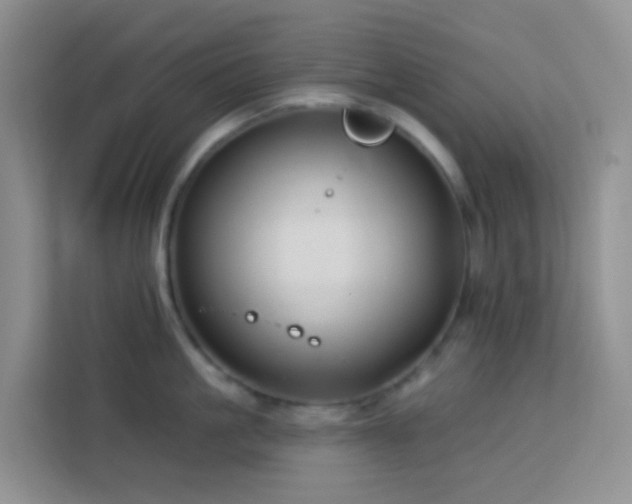 X0000114070861200910051337