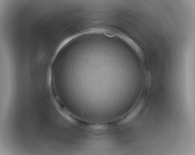 X0000114070862200910051337