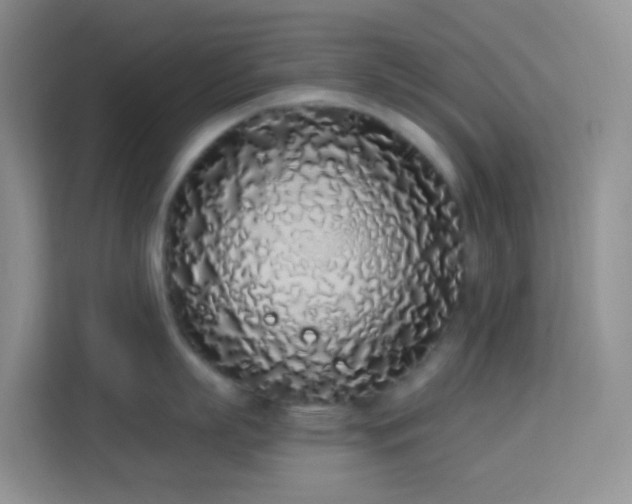 X0000114070863200910051337