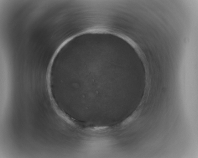 X0000114070864200910051337