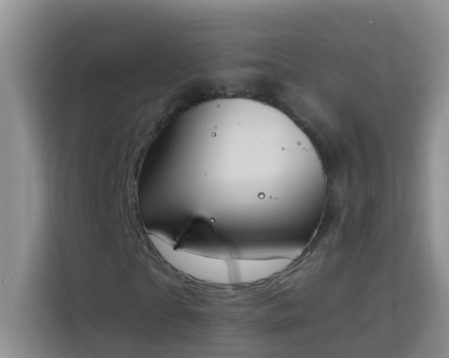 X0000114070865200910051336