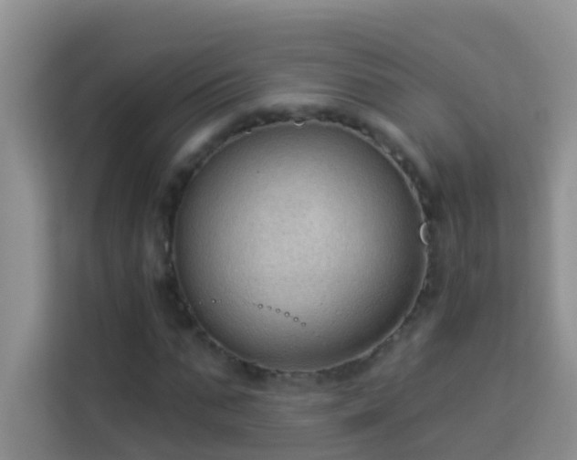 X0000114070871200910051336