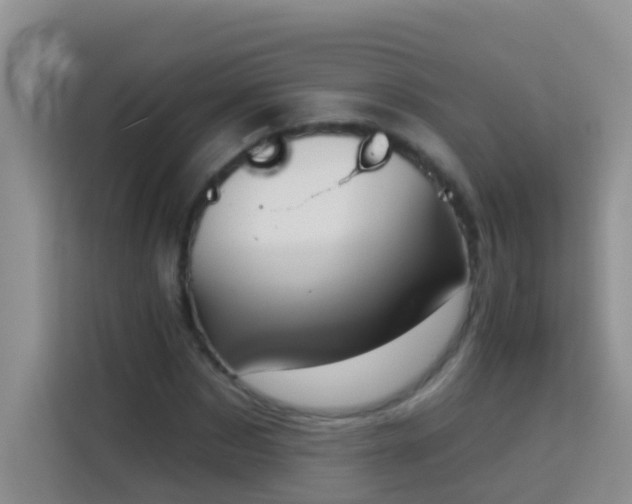 X0000114070873200910051336