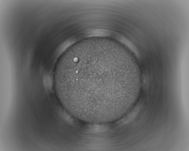 X0000114070874200910051336