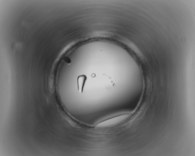 X0000114070878200910051336