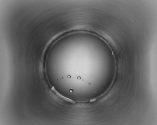 X0000114070880200910051336