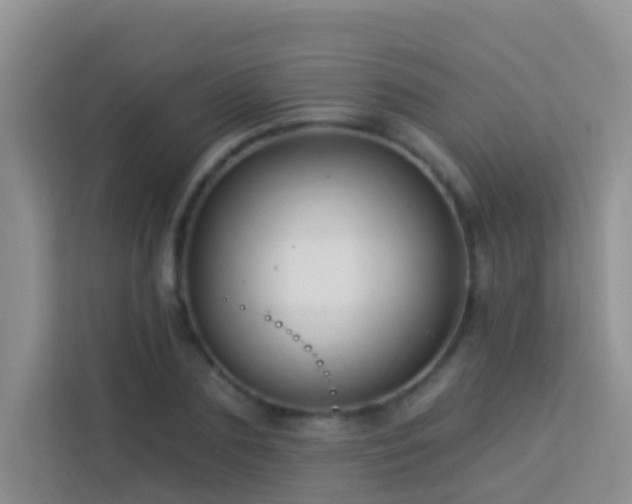 X0000114070883200910051336