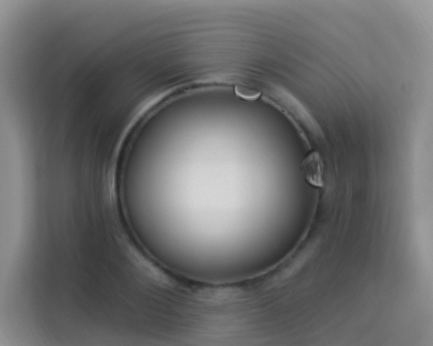 X0000114070884200910051336