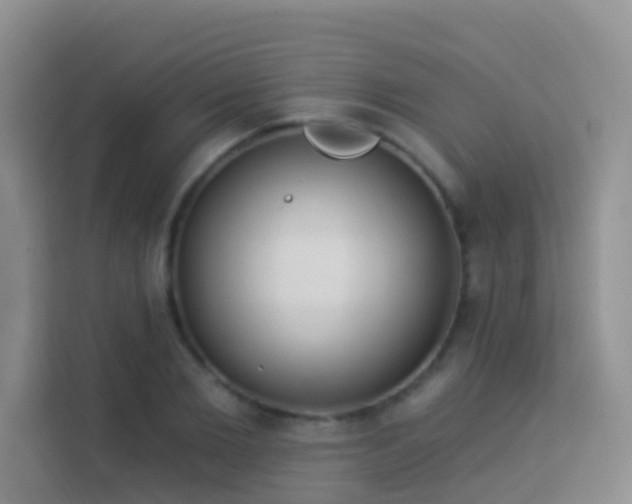 X0000114070885200910051336