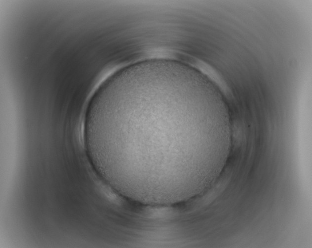 X0000114070886200910051336