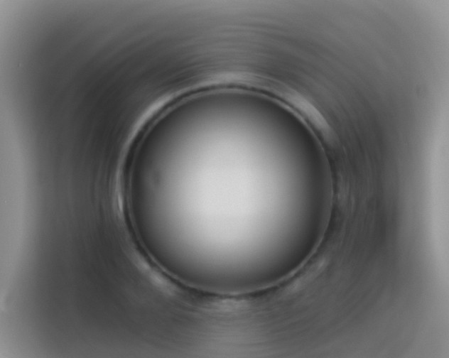 X0000114070888200910051336